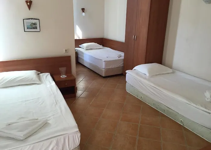 Отель Eco Palace