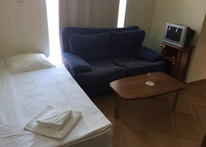 Отель Eco Palace