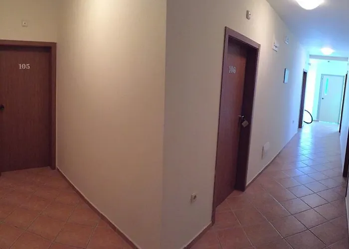 Отель Eco Palace