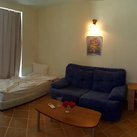 Eco Palace 3*
